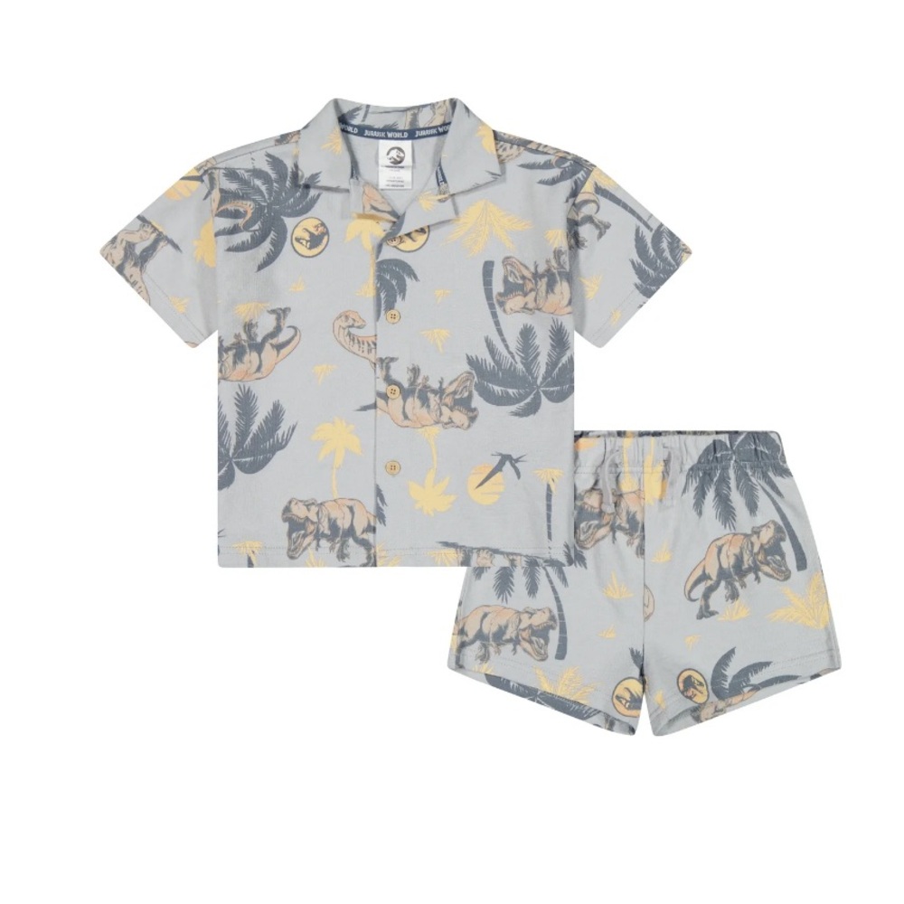 Boys 2T Grey Jurassic World Short Set